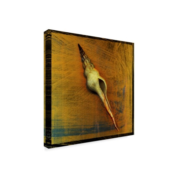 John W. Golden 'Spiral Shell' Canvas Art,14x14